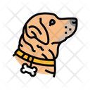 پیش‌نمایش فایل dog-name-14828955 از پک نمایش و مسابقه نژادهای سگ