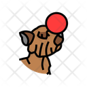 آیکن