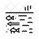 پیش‌نمایش فایل fish-migration-15663881 از پک آلودگی حرارتی اکوسیستم