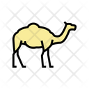 پیش‌نمایش فایل camel-3798232 از پک حیوانات خانگی