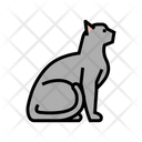 پیش‌نمایش فایل cat-3798233 از پک حیوانات خانگی