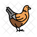 پیش‌نمایش فایل chicken-3798234 از پک حیوانات خانگی
