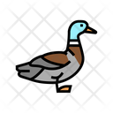 پیش‌نمایش فایل duck-3798238 از پک حیوانات خانگی