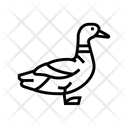 پیش‌نمایش فایل duck-3798438 از پک حیوانات خانگی
