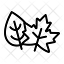پیش‌نمایش فایل leaves-4374463 از پک اکتبرفست