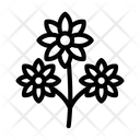 پیش‌نمایش فایل flower-bouquet-5904942 از پک عروسی