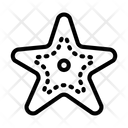 پیش‌نمایش فایل starfish-5929601 از پک تابستان