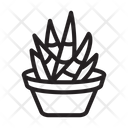 آیکن