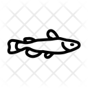 پیش‌نمایش فایل catfish-7688876 از پک اقیانوس