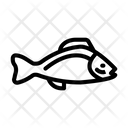 پیش‌نمایش فایل fish-7688855 از پک اقیانوس