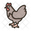 پیش‌نمایش فایل chicken-8923149 از پک بقا