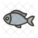 پیش‌نمایش فایل fish-8923136 از پک بقا