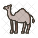 پیش‌نمایش فایل camel-9034562 از پک اسلامی