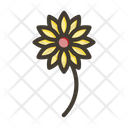 پیش‌نمایش فایل flower-9033637 از پک تابستان
