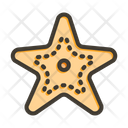 پیش‌نمایش فایل starfish-9033630 از پک تابستان