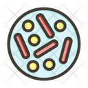 پیش‌نمایش فایل bacteria-9076211 از پک شیمی