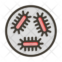 پیش‌نمایش فایل virus-9075897 از پک روال بهداشت
