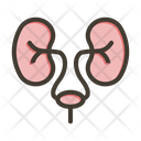 پیش‌نمایش فایل urology-9133983 از پک امکانات بیمارستان