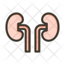 پیش‌نمایش فایل kidney-9134000 از پک پزشکی