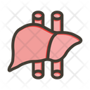 پیش‌نمایش فایل liver-9133999 از پک پزشکی