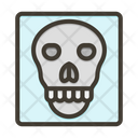 پیش‌نمایش فایل skull-x-ray-9134035 از پک پزشکی