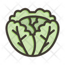 پیش‌نمایش فایل cabbage-9214024 از پک غذا