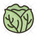 پیش‌نمایش فایل cabbage-9256590 از پک سبزیجات