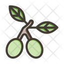 پیش‌نمایش فایل olive-9256564 از پک سبزیجات