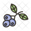 پیش‌نمایش فایل blueberries-9256680 از پک میوه