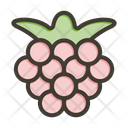 پیش‌نمایش فایل boysenberries-9256674 از پک میوه