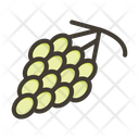 پیش‌نمایش فایل grapes-9256703 از پک میوه