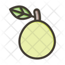 پیش‌نمایش فایل guava-9256704 از پک میوه