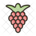 پیش‌نمایش فایل raspberries-9256656 از پک میوه