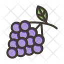 پیش‌نمایش فایل zinfandel-grapes-9256690 از پک میوه