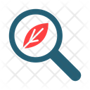 پیش‌نمایش فایل organic-search-9497824 از پک بازاریابی