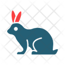 پیش‌نمایش فایل rabbit-9498744 از پک کشاورزی