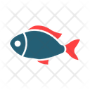پیش‌نمایش فایل fish-9501088 از پک بقا