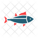 پیش‌نمایش فایل tuna-9501066 از پک بقا