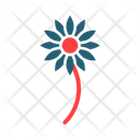 پیش‌نمایش فایل flower-9501331 از پک تابستان