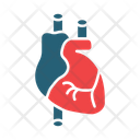 پیش‌نمایش فایل cardiology-9504979 از پک امکانات بیمارستان