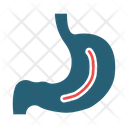 پیش‌نمایش فایل gastroenterology-9504945 از پک امکانات بیمارستان