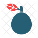 پیش‌نمایش فایل guava-9562809 از پک میوه