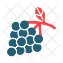پیش‌نمایش فایل zinfandel-grapes-9562845 از پک میوه