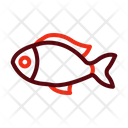 پیش‌نمایش فایل fish-9633281 از پک بقا