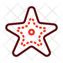 پیش‌نمایش فایل starfish-9674876 از پک تابستان