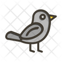 پیش‌نمایش فایل bird-9729445 از پک طبیعت