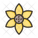 پیش‌نمایش فایل sunflower-9729417 از پک طبیعت