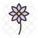 پیش‌نمایش فایل flower-9729287 از پک اکولوژی