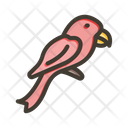 پیش‌نمایش فایل parrot-9886997 از پک دزد دریایی