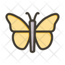 پیش‌نمایش فایل butterfly-9918918 از پک سفر و تعطیلات